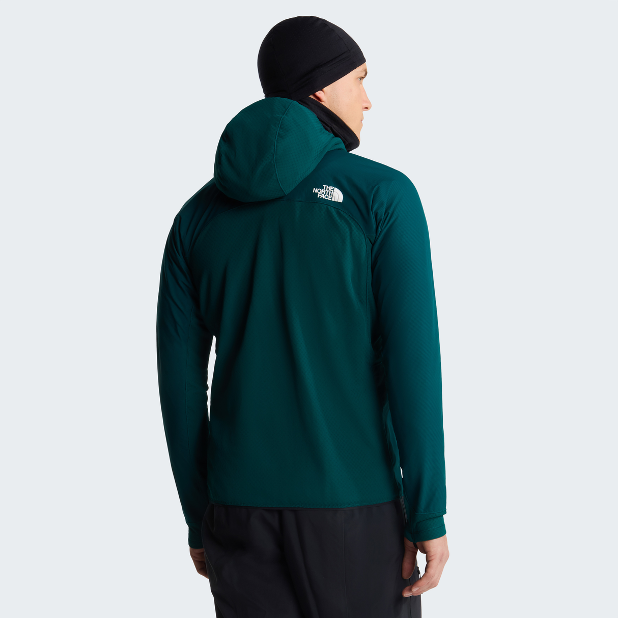 tnf_asset:NF0A8H1UN4J-ALT3