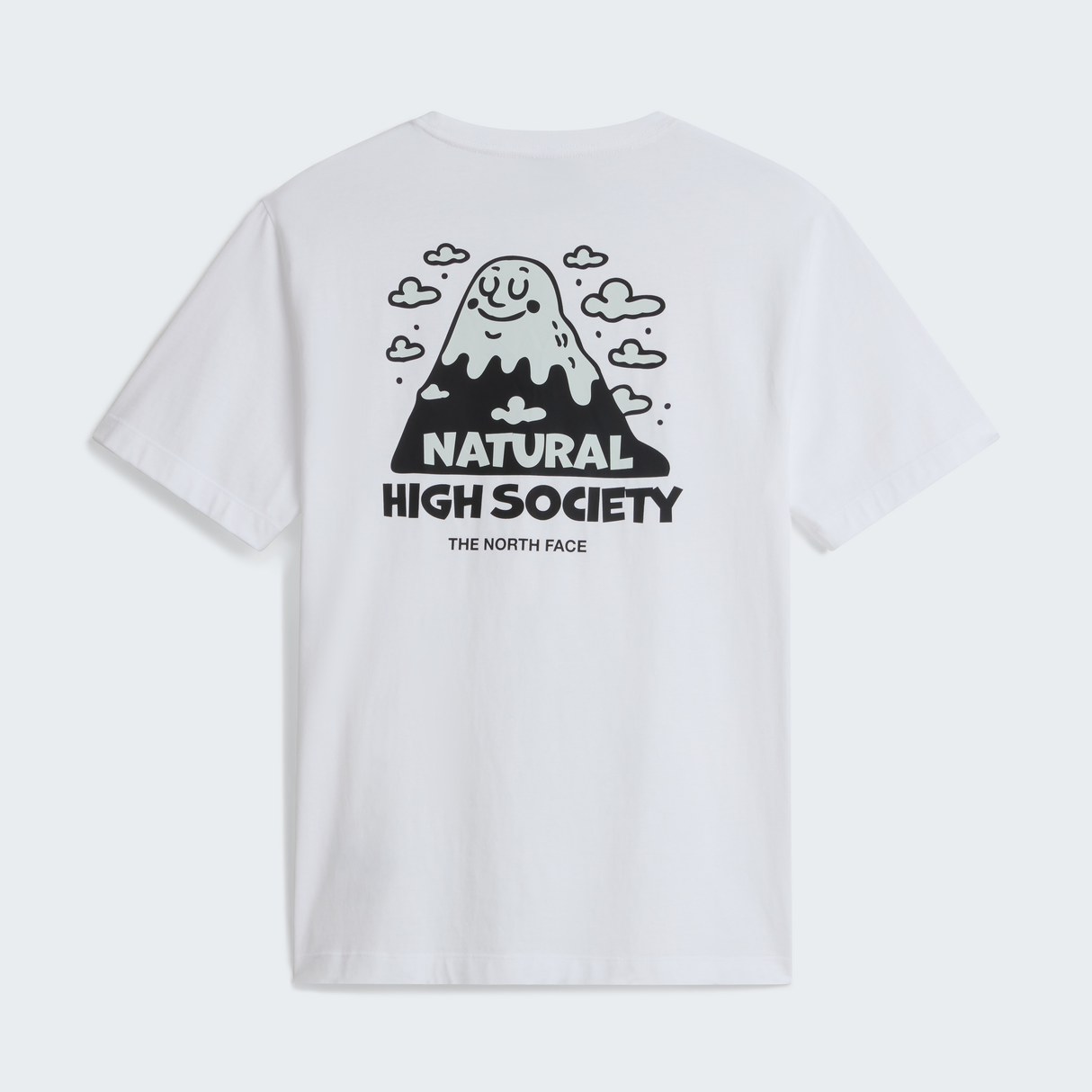 tnf_asset:NF0A8JPQFN4-ALT1