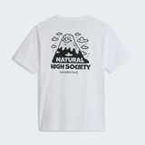 tnf_asset:NF0A8JPQFN4-ALT1