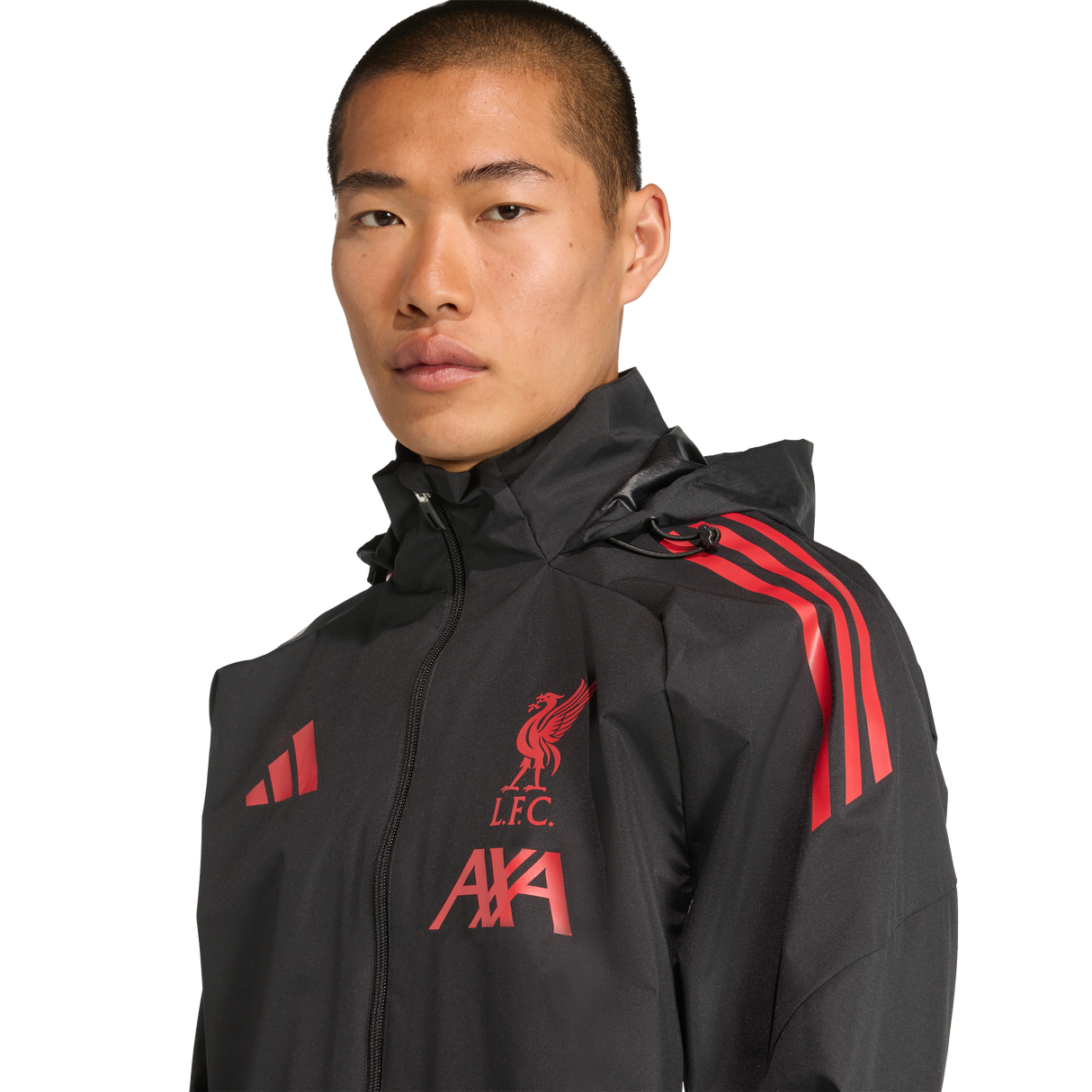 ADIDAS - Liverpool Fc 25/26 Competition All Weather Jacket - Uomo - image 6