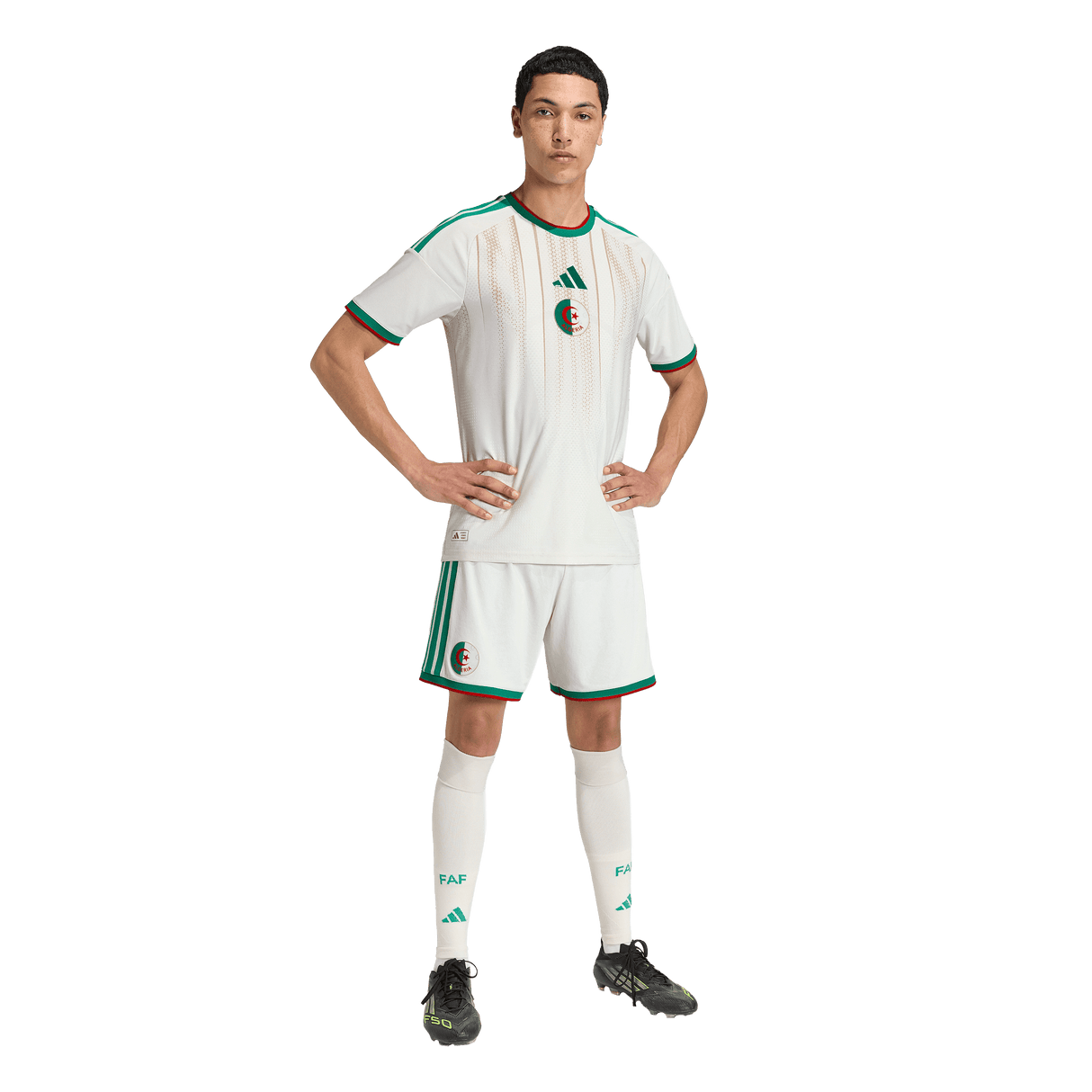 ADIDAS - Algeria 26 Home Authentic Jersey - Uomo - Beige - image 6