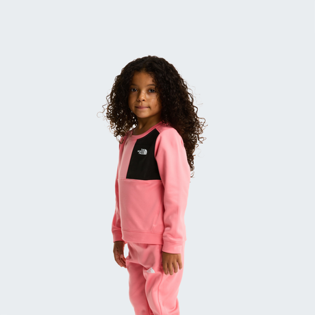 tnf_asset:NF0A8CV0G52-ALT3