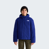 tnf_asset:NF0A88TPRC7-ALT1