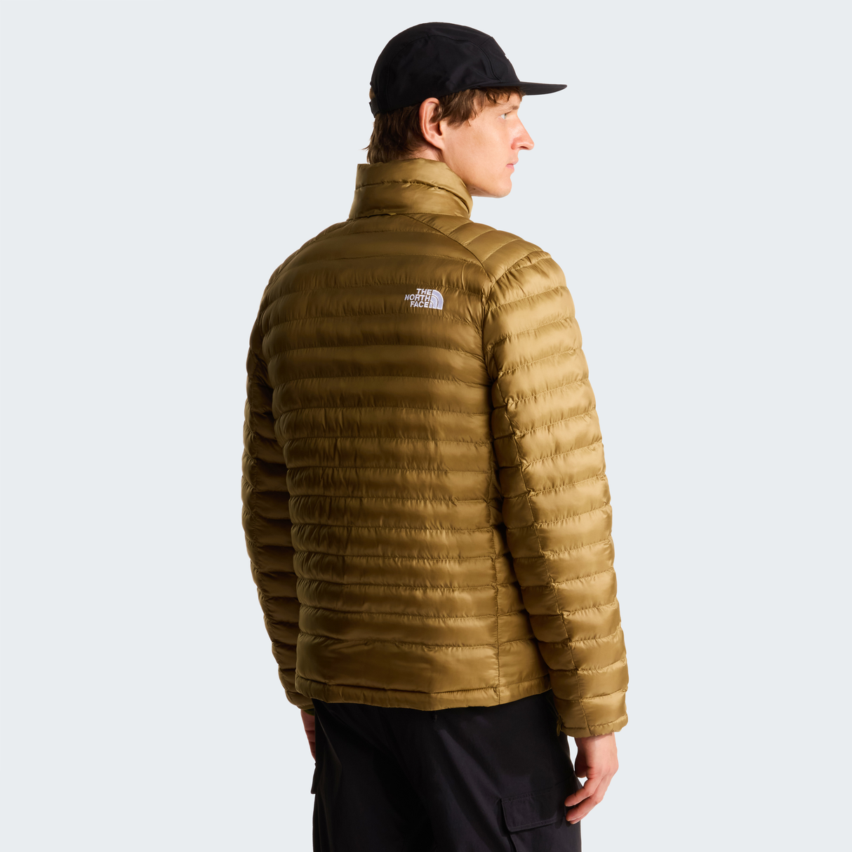 tnf_asset:NF0A85AE2EL-ALT3