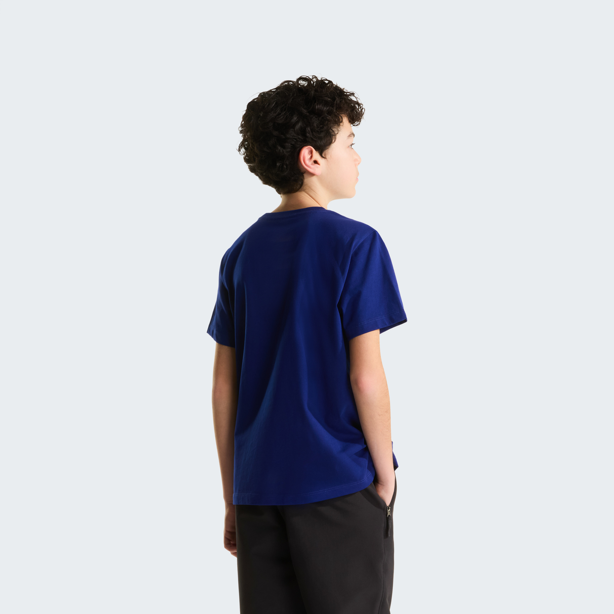 tnf_asset:NF0A8F9ZNLV-ALT3