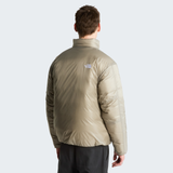 tnf_asset:NF0A8H0P2MB-ALT3