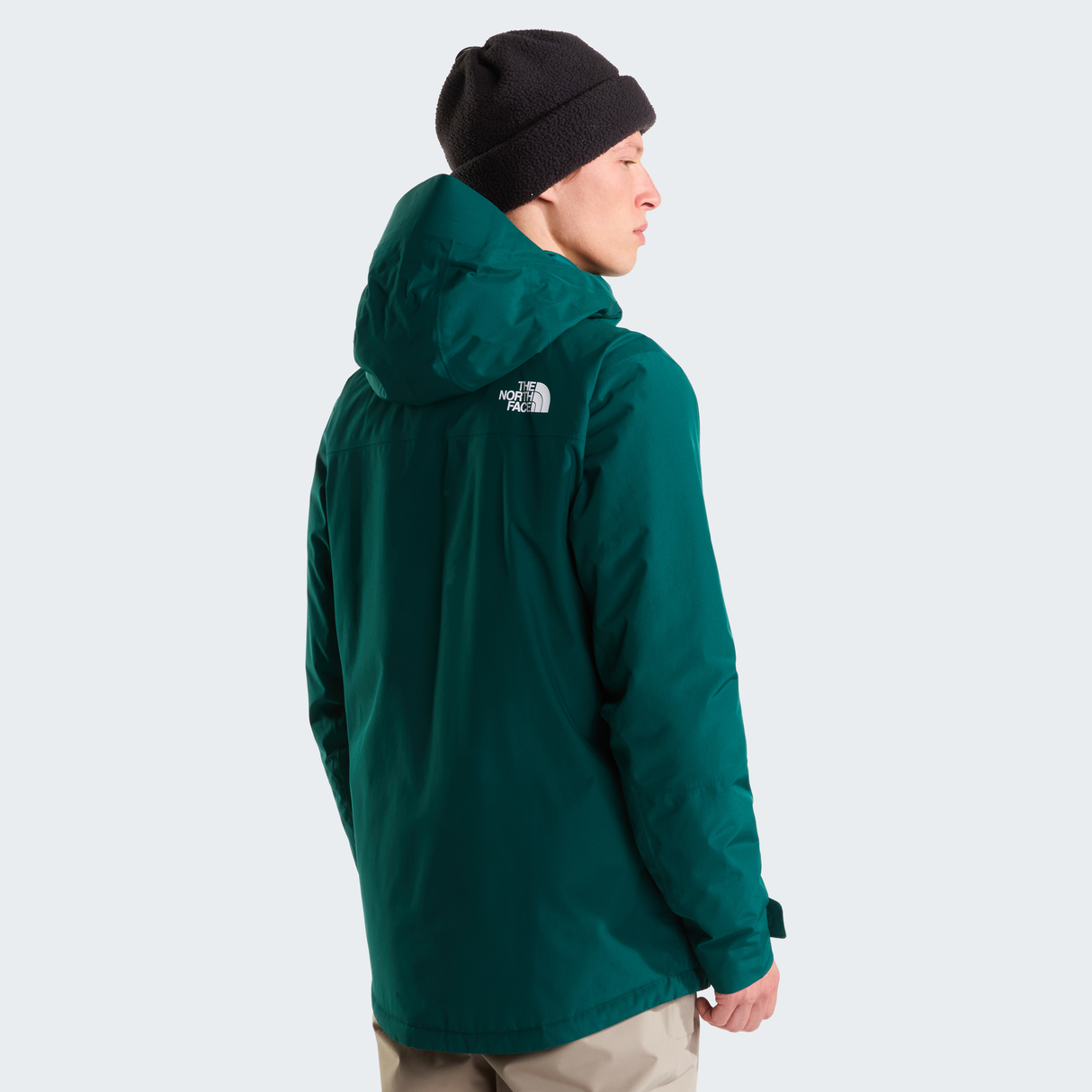 tnf_asset:NF0A87Y9N4J-ALT3