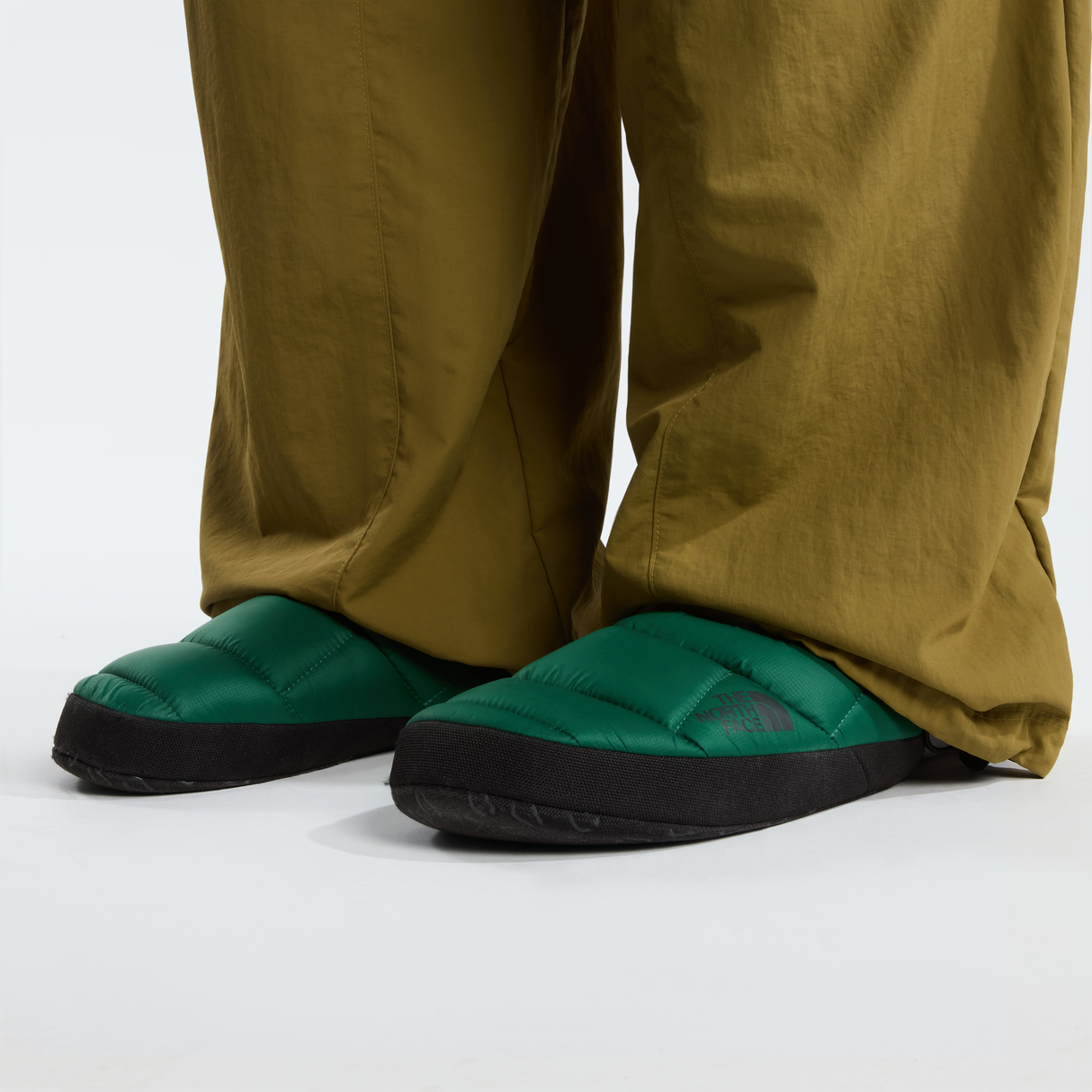 tnf_asset:NF0A8A9DS9W-ALT2