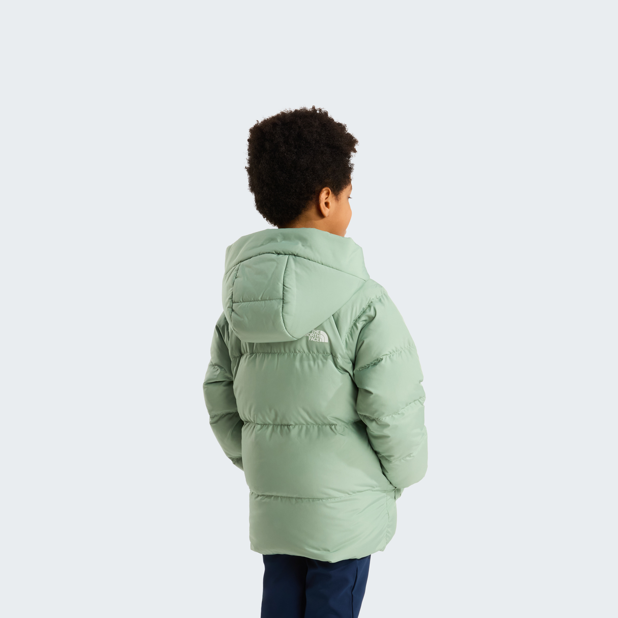 tnf_asset:NF0A88VFBQ1-ALT3