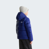 tnf_asset:NF0A8H3RNLV-ALT3