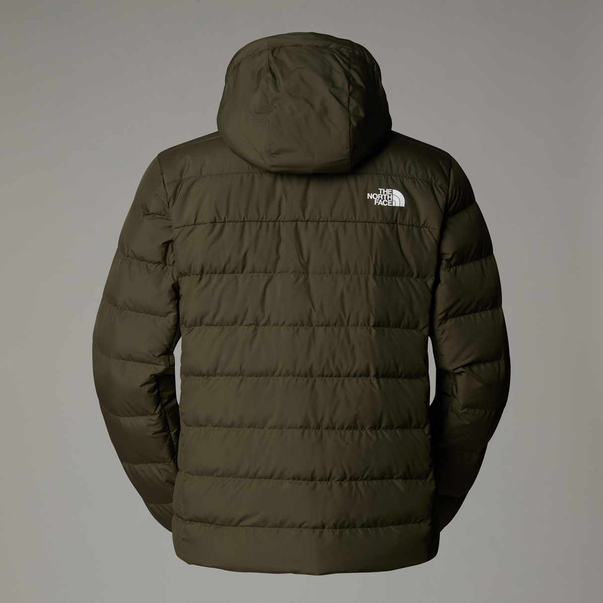 tnf_asset:NF0A84I121L-ALT2