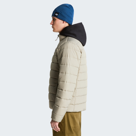 tnf_asset:NF0A8H0M2MB-ALT2