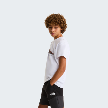 tnf_asset:NF0A8G1UFN4-ALT2