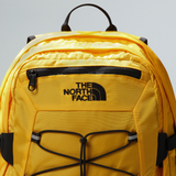 tnf_asset:NF00CF9C4WP-ALT3