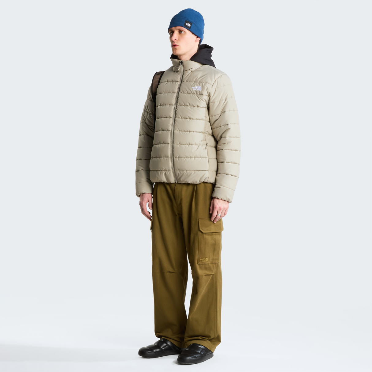 tnf_asset:NF0A8H0M2MB-ALT1