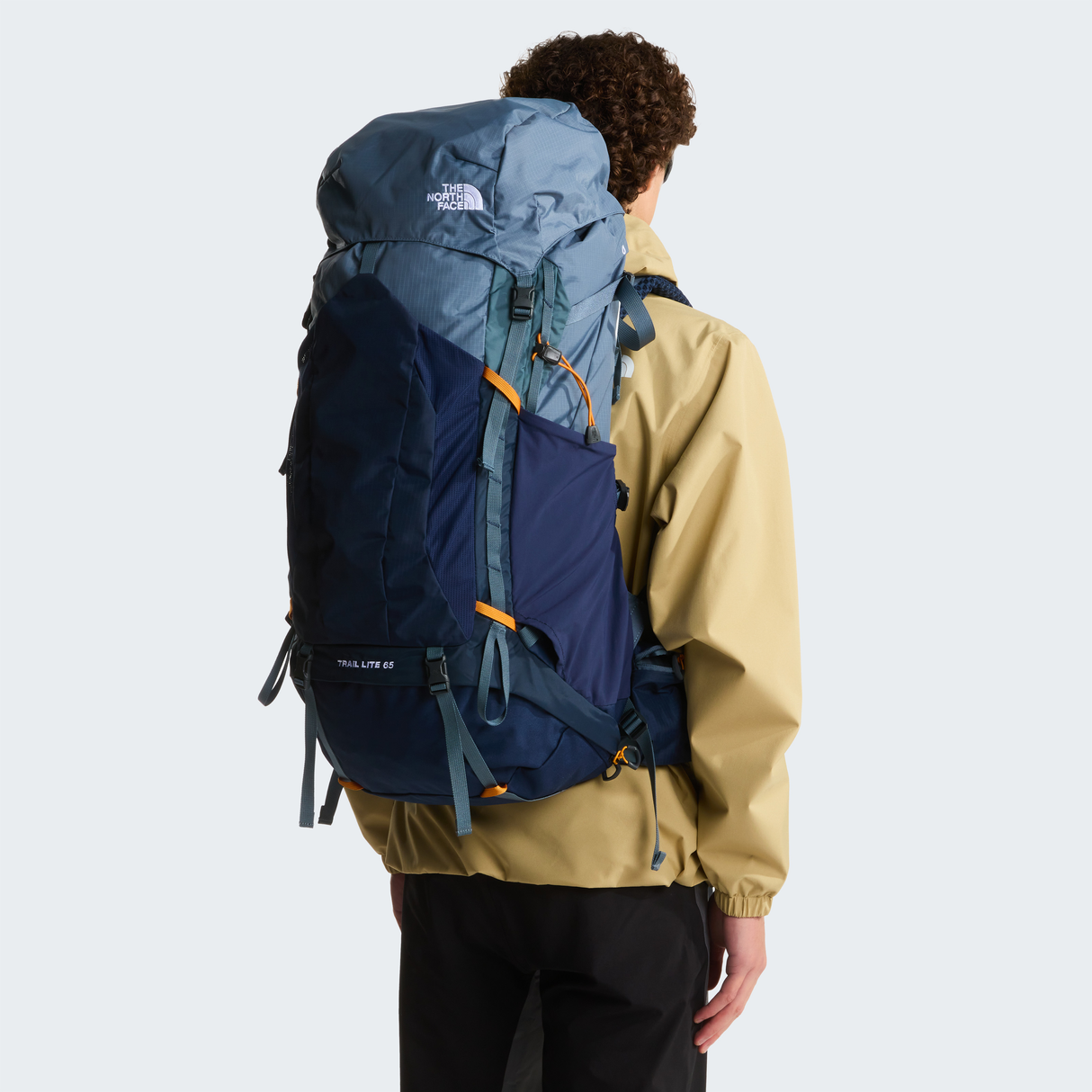 tnf_asset:NF0A81CENOW-ALT1