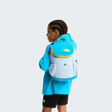 tnf_asset:NF0A52VWK63-ALT1