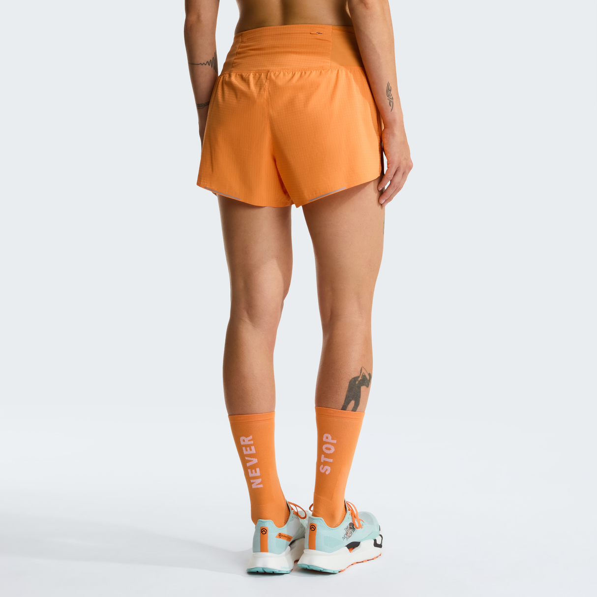 tnf_asset:NF0A8HW90TO-ALT3