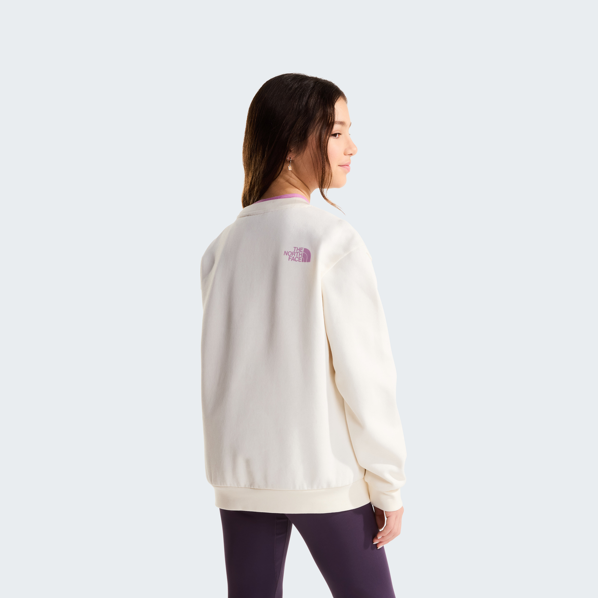 tnf_asset:NF0A8JH0QLI-ALT3
