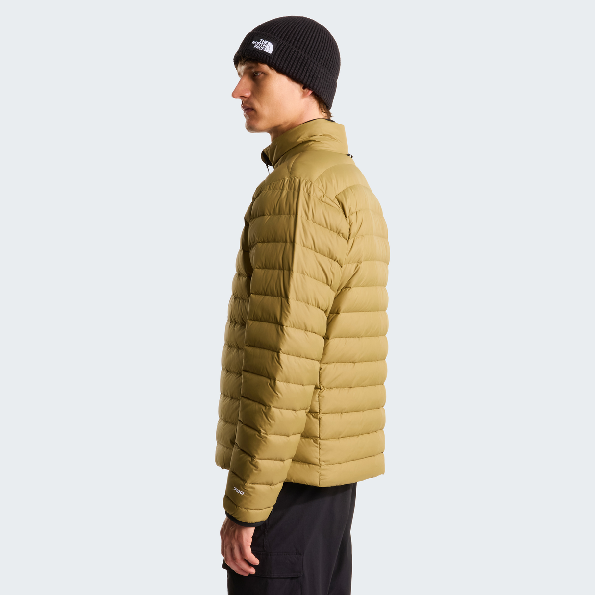 tnf_asset:NF0A8D1U2EL-ALT2