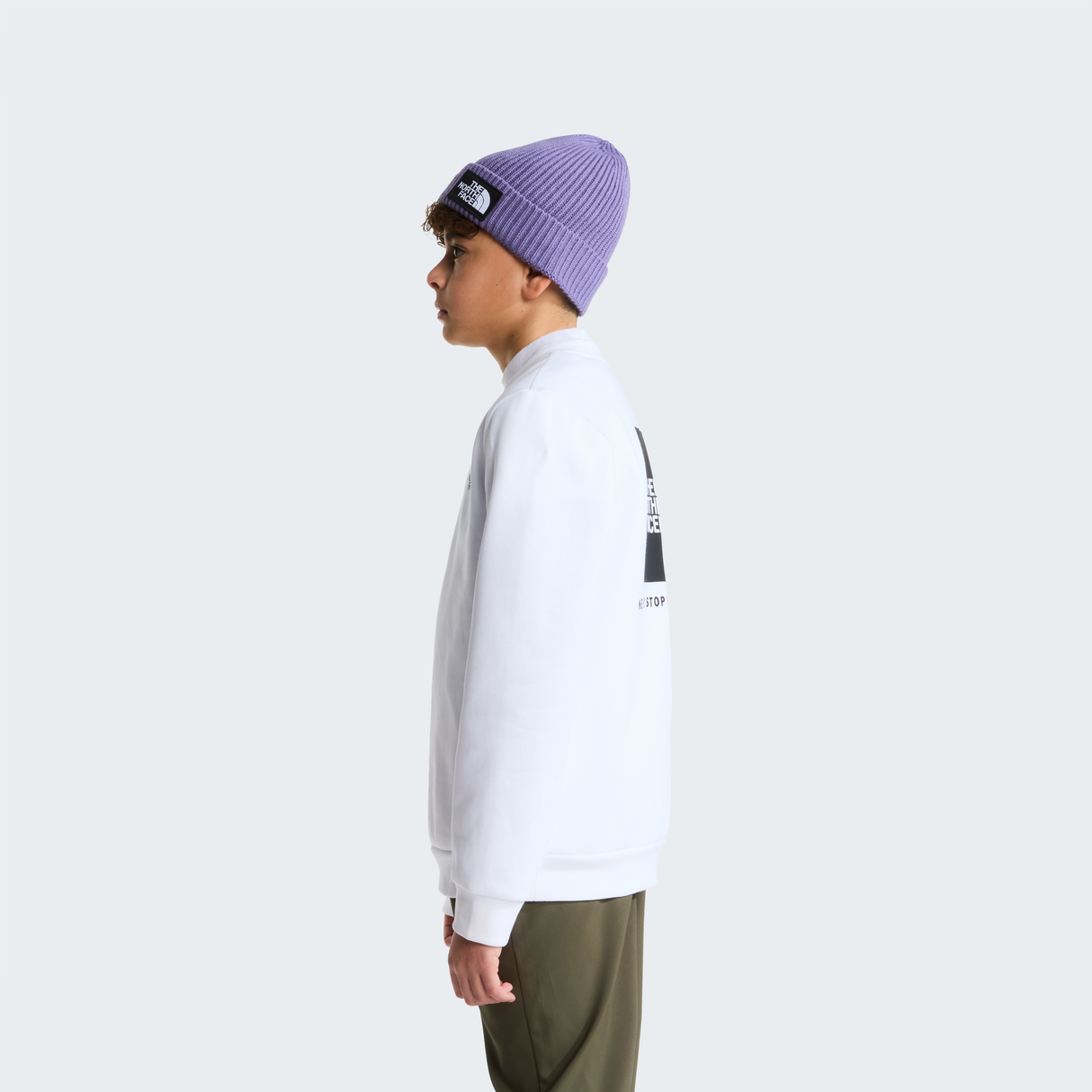 tnf_asset:NF0A8F9WFN4-ALT3