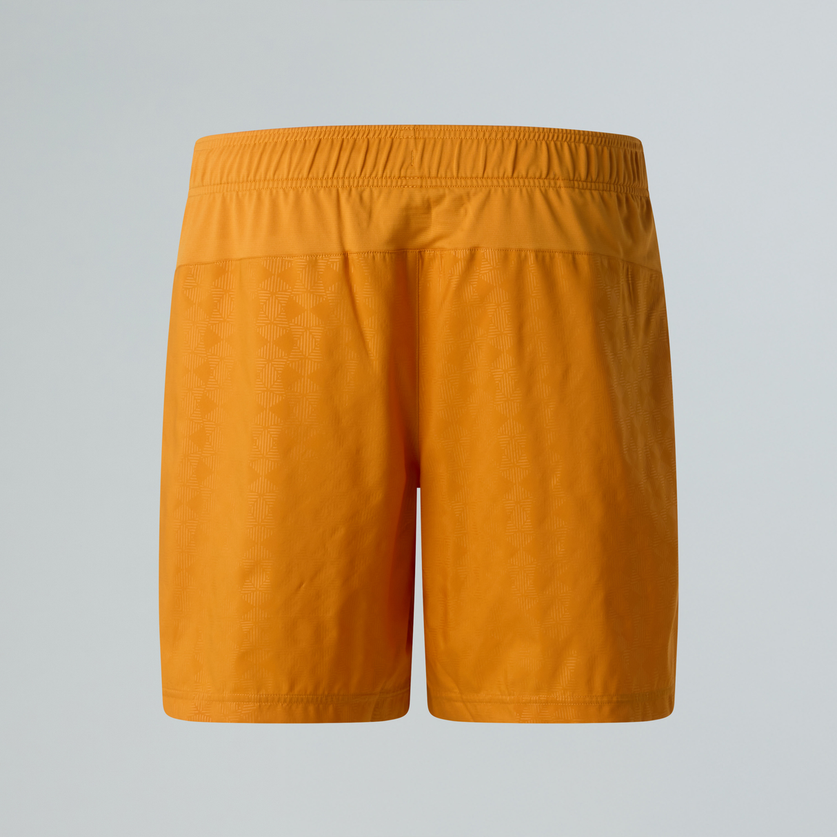 tnf_asset:NF0A8G89G5I-ALT1