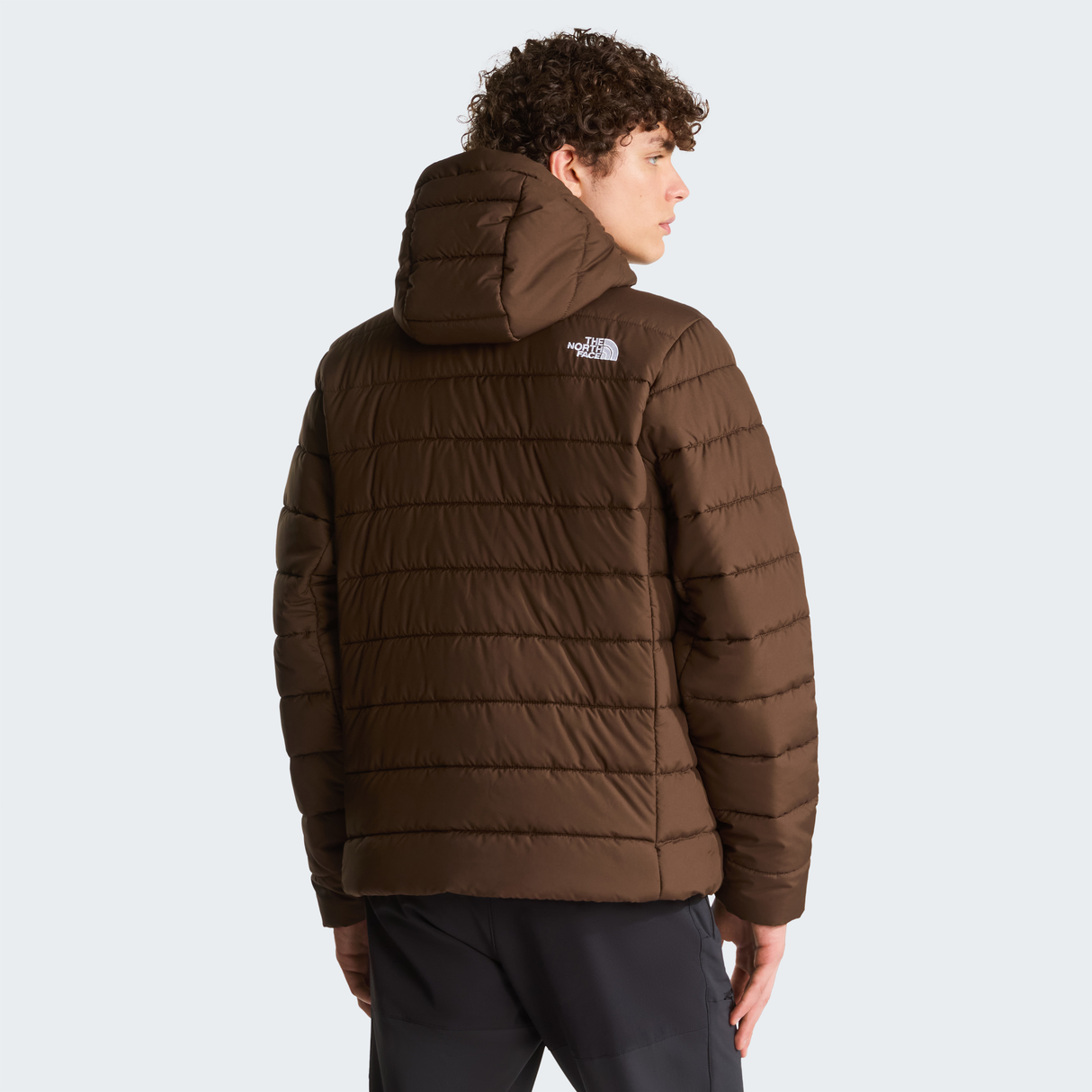 tnf_asset:NF0A8H0KNMF-ALT3