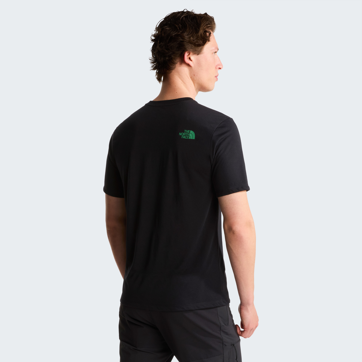 tnf_asset:NF0A8J66JK3-ALT3