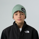 tnf_asset:NF0A8CGUBQ1-ALT1