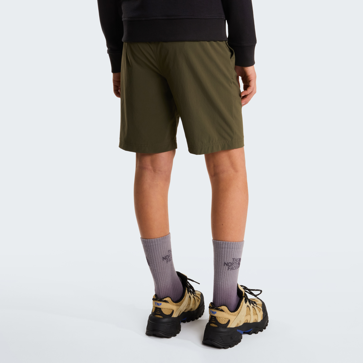 tnf_asset:NF0A8FYV21L-ALT3