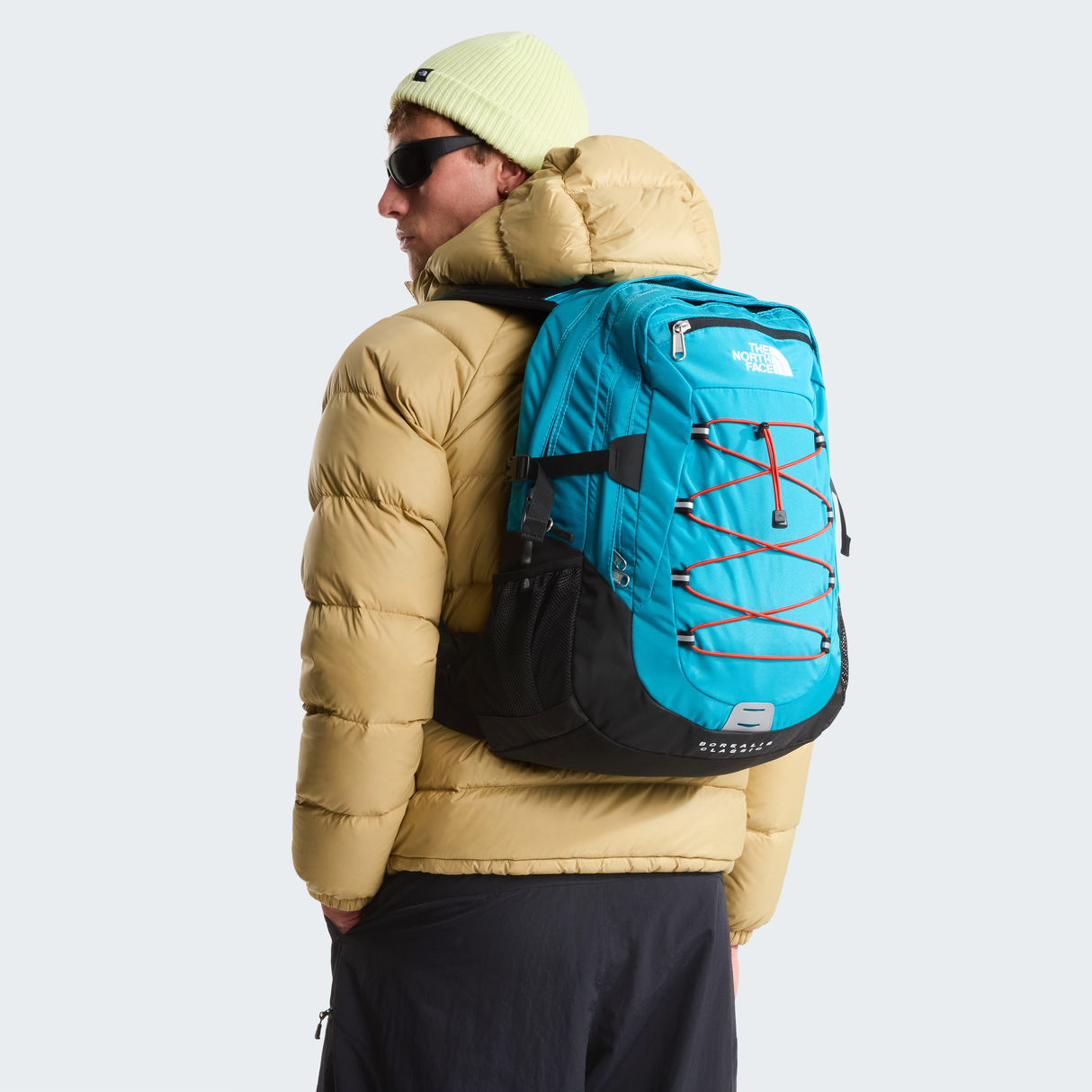 tnf_asset:NF00CF9CNPT-ALT1