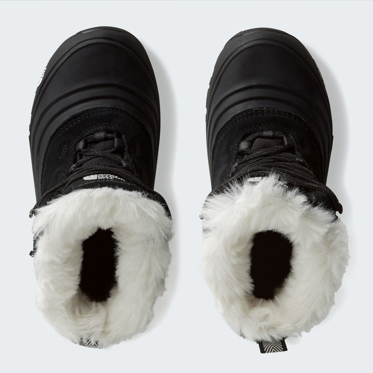 tnf_asset:NF0A7W5XKX7-ALT1