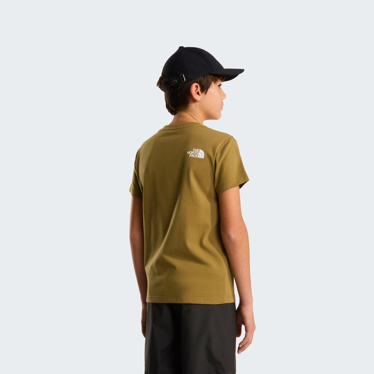 tnf_asset:NF0A87T42EL-ALT3