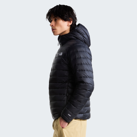 tnf_asset:NF0A8D1TJK3-ALT2
