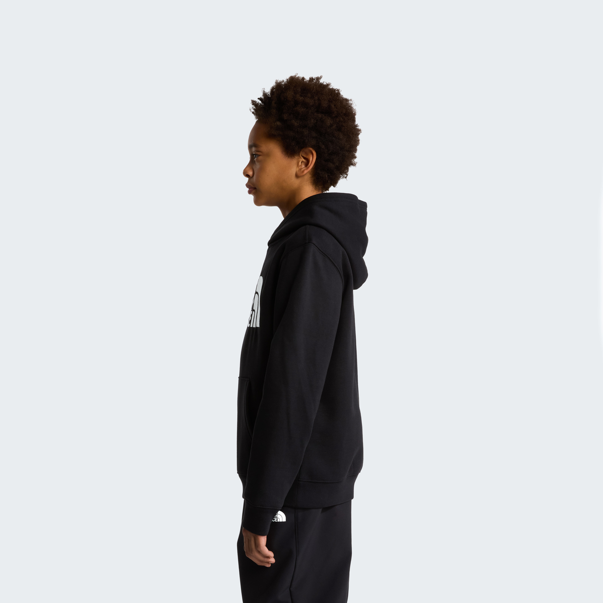 tnf_asset:NF0A8H3YJK3-ALT2