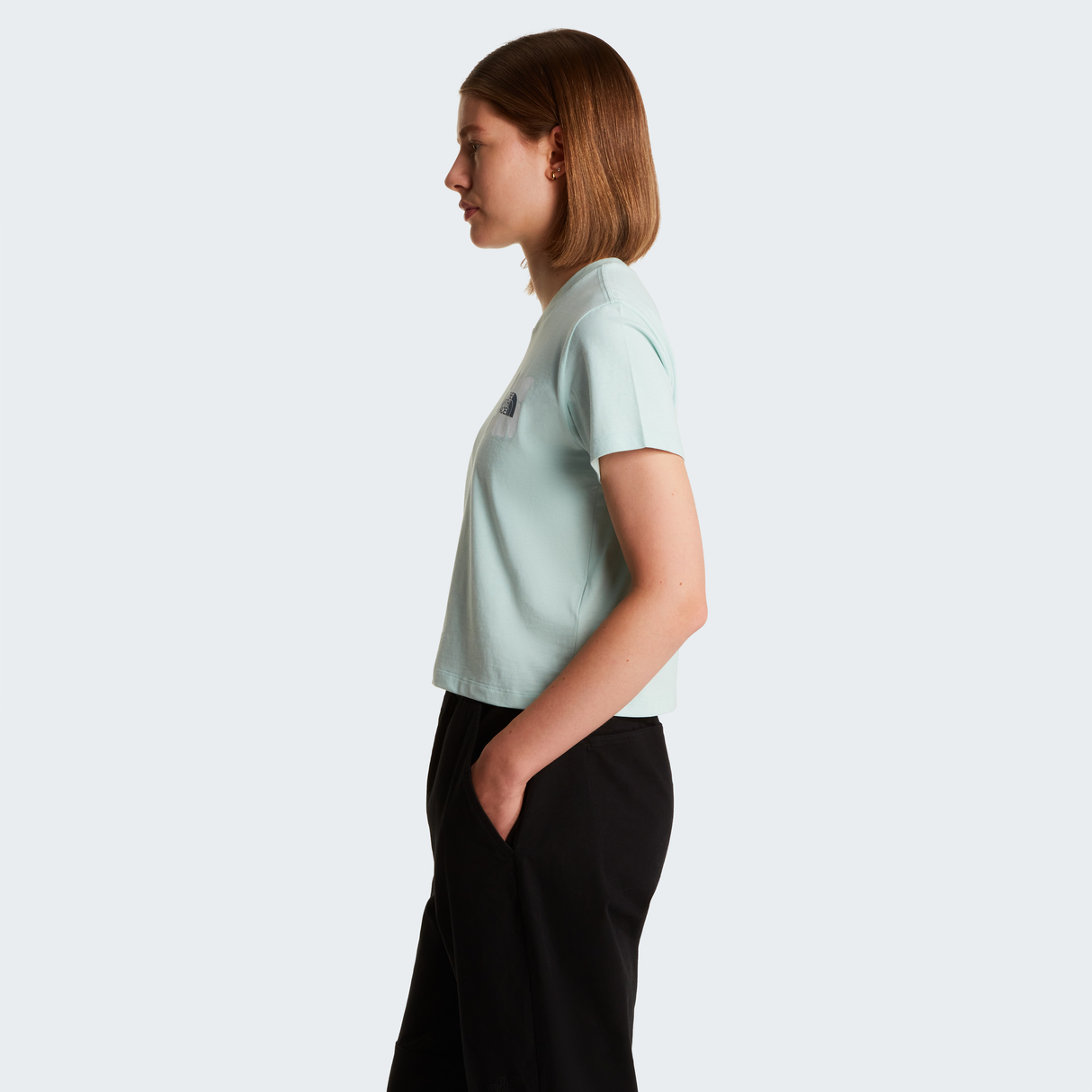tnf_asset:NF0A8GQSG70-ALT3