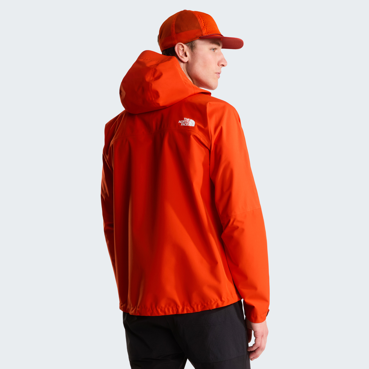 tnf_asset:NF0A8ESAG6L-ALT3