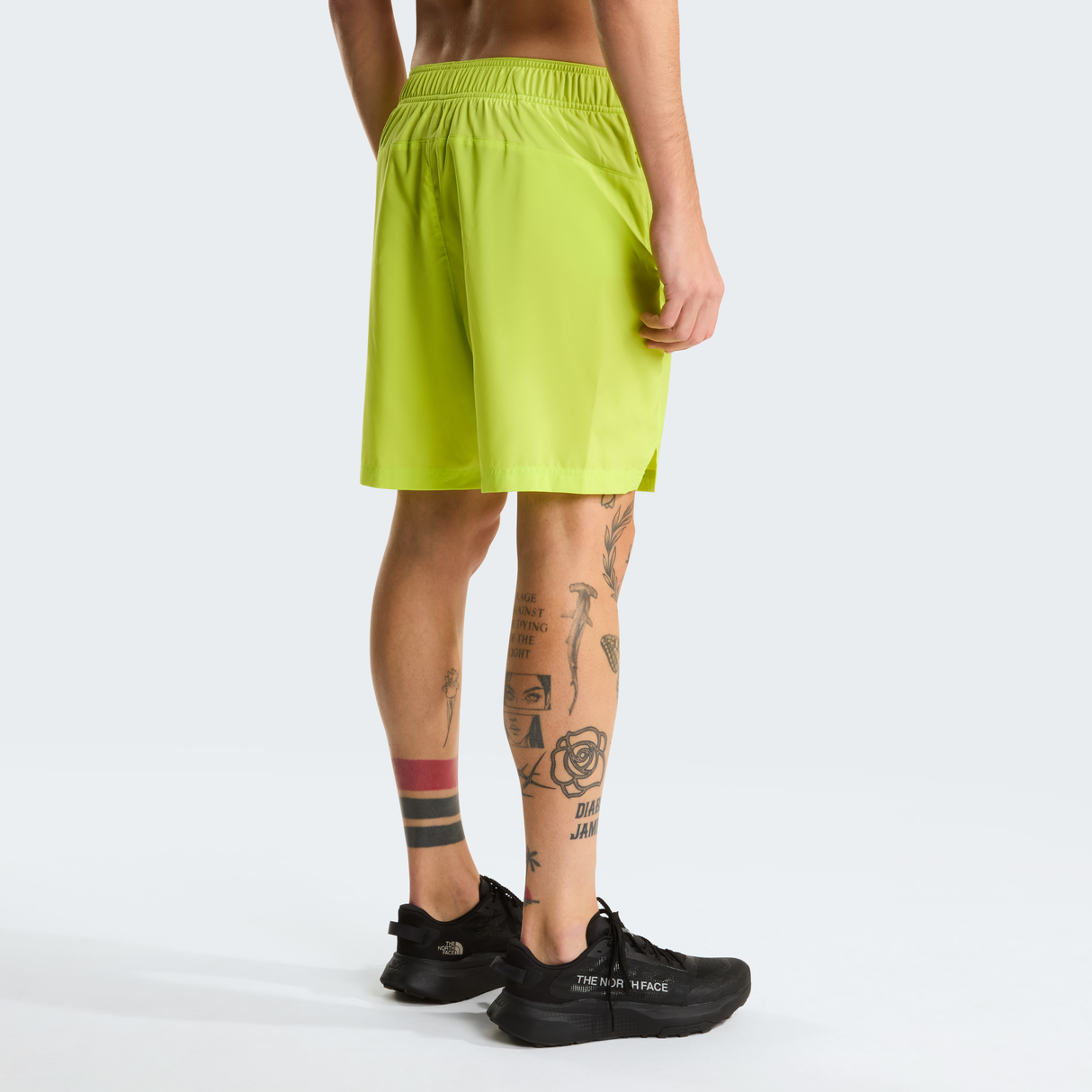 tnf_asset:NF0A3O1BRIQ-ALT3