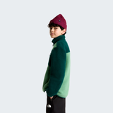 tnf_asset:NF0A8J61JZX-ALT2