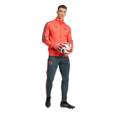 ADIDAS - Fc Bayern 2025/2026 Tiro24 Competition Track Suit - Uomo - Orange - image 6