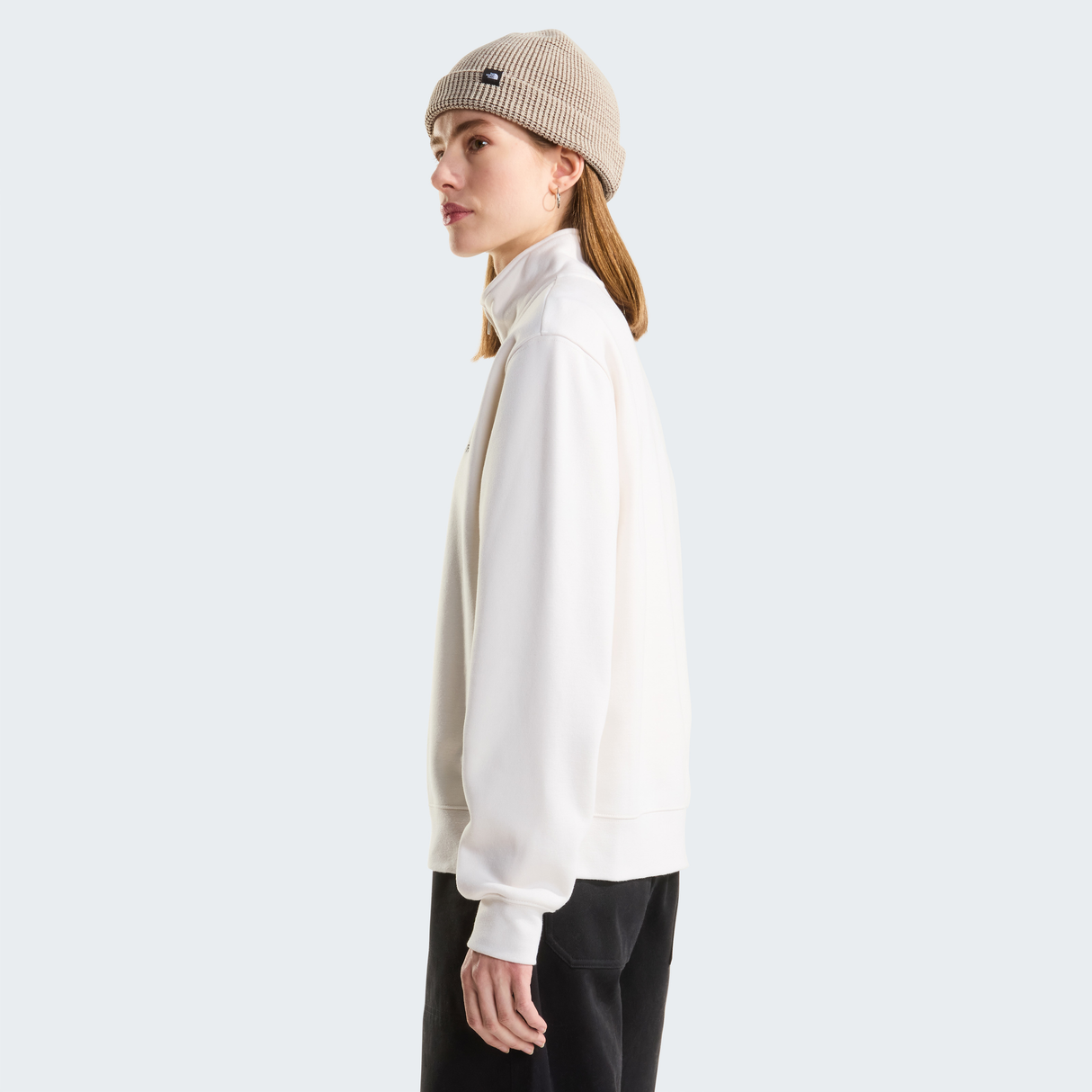 tnf_asset:NF0A8JAQQLI-ALT2