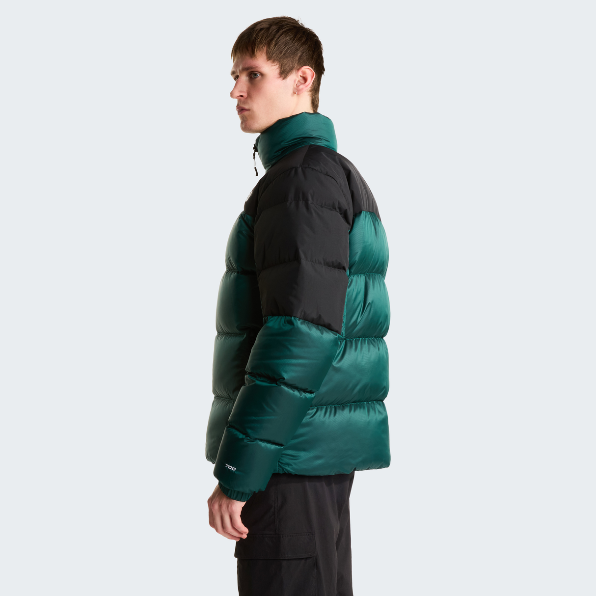 tnf_asset:NF0A8993UY6-ALT2