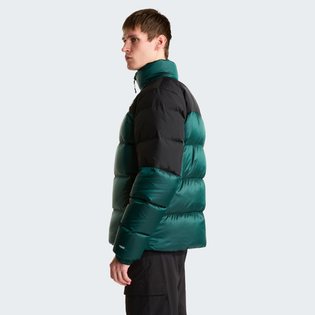 tnf_asset:NF0A8993UY6-ALT2