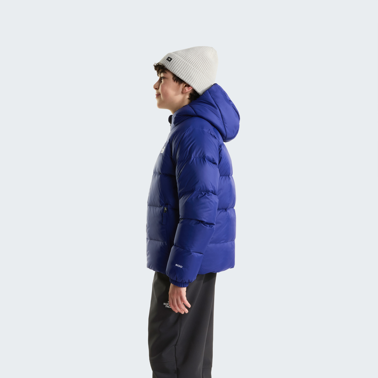 tnf_asset:NF0A8H3RNLV-ALT2