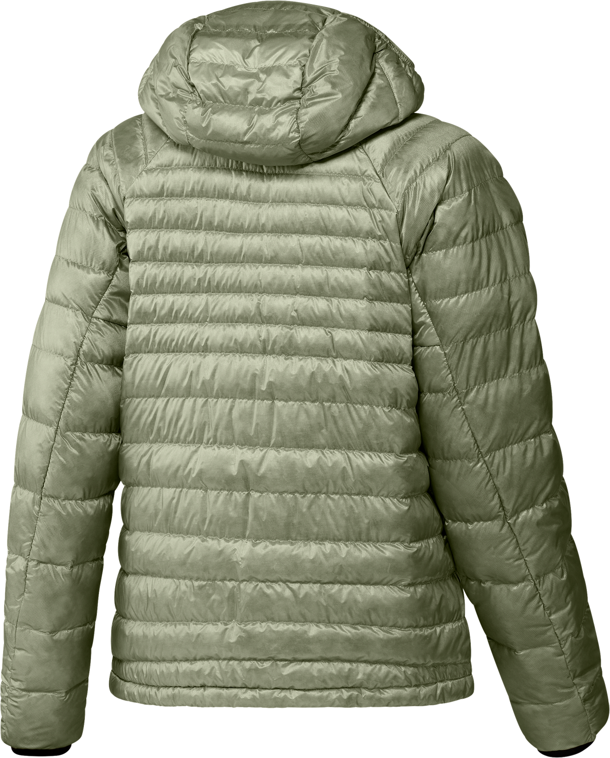 ADIDAS - TERREX Techrock CLIMAWARM+ Down Hooded Jacket - Donna - Green - image 2