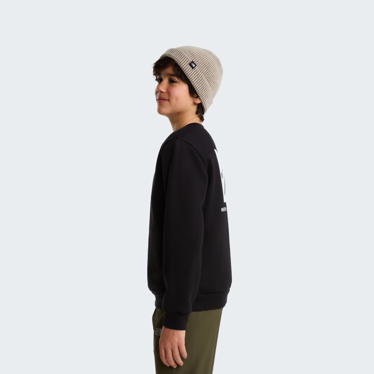 tnf_asset:NF0A8F9WJK3-ALT3