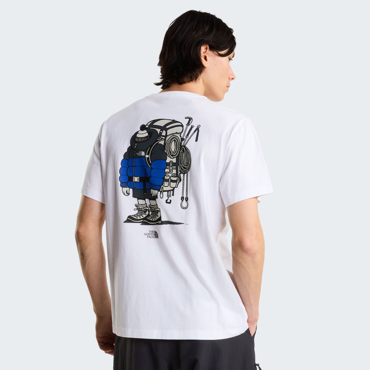 tnf_asset:NF0A8JB4FN4-ALT2