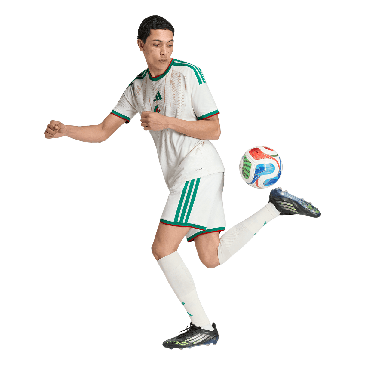 ADIDAS - Algeria 26 Home Authentic Jersey - Uomo - Beige - image 5