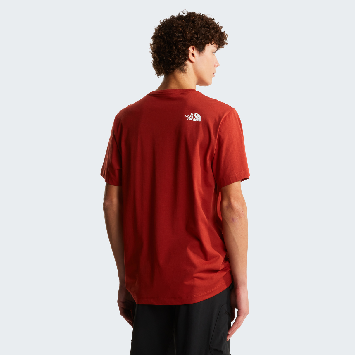 tnf_asset:NF0A8B6JG6I-ALT3