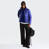tnf_asset:NF0A8H1ENLV-ALT1